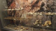 Slovenské múzeum ochrany prírody a jaskyniarstva 4