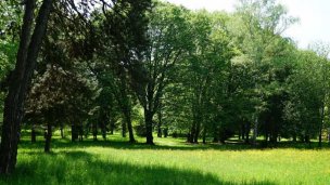 Historický park Snina 3 Zdroj: https://www.snina.sk/mesto/pamiatky-a-pamatihodnosti/pamiatky/historicky-park-pri-kastieli/