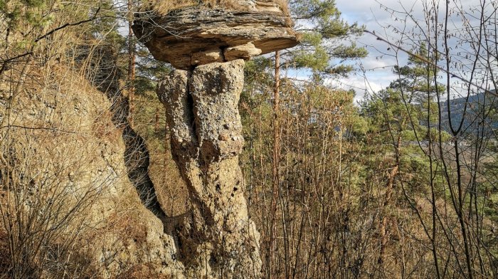Markušovský skalný hríb