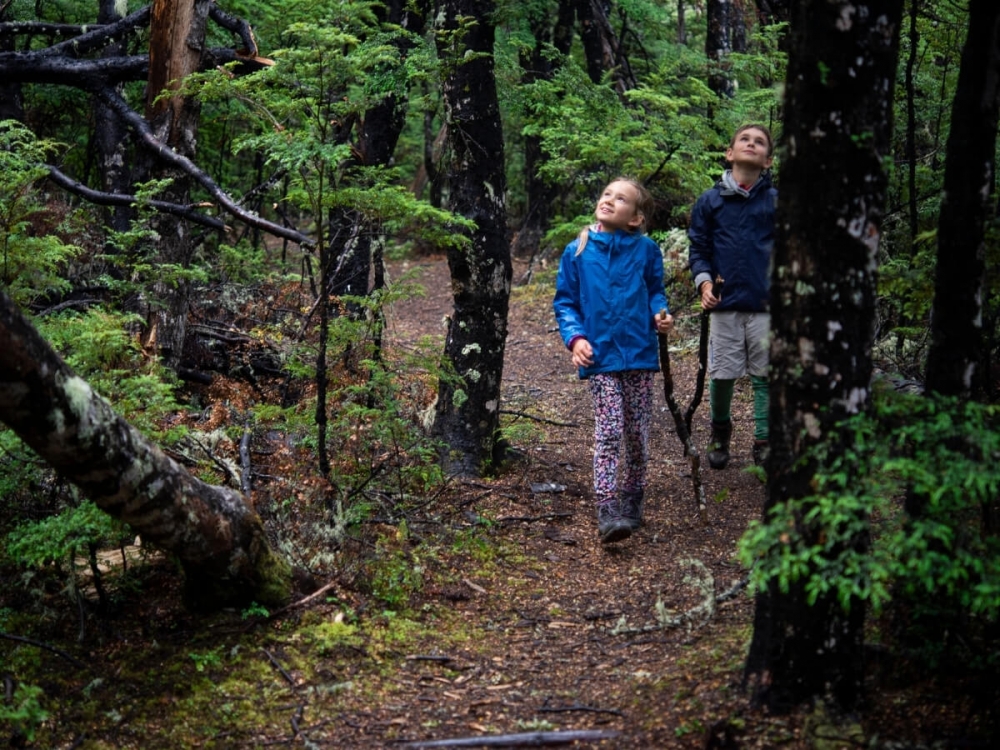 Deti na prechádzke v lese.