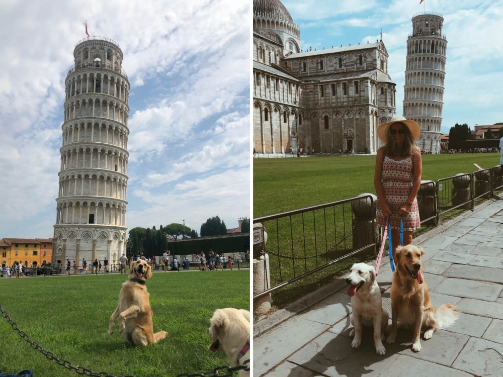 Cestovanie so psami na výlet do Pise, Taliansko.